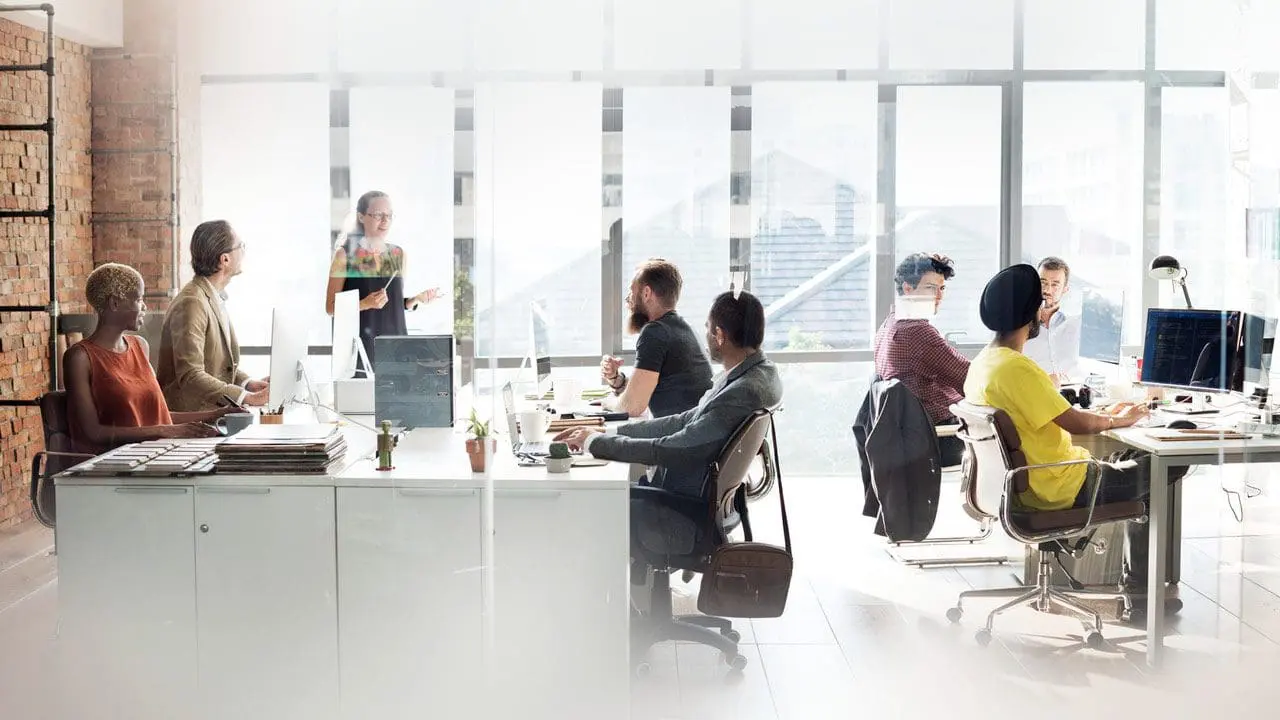 Demonstrate diversity and inclusion in resume