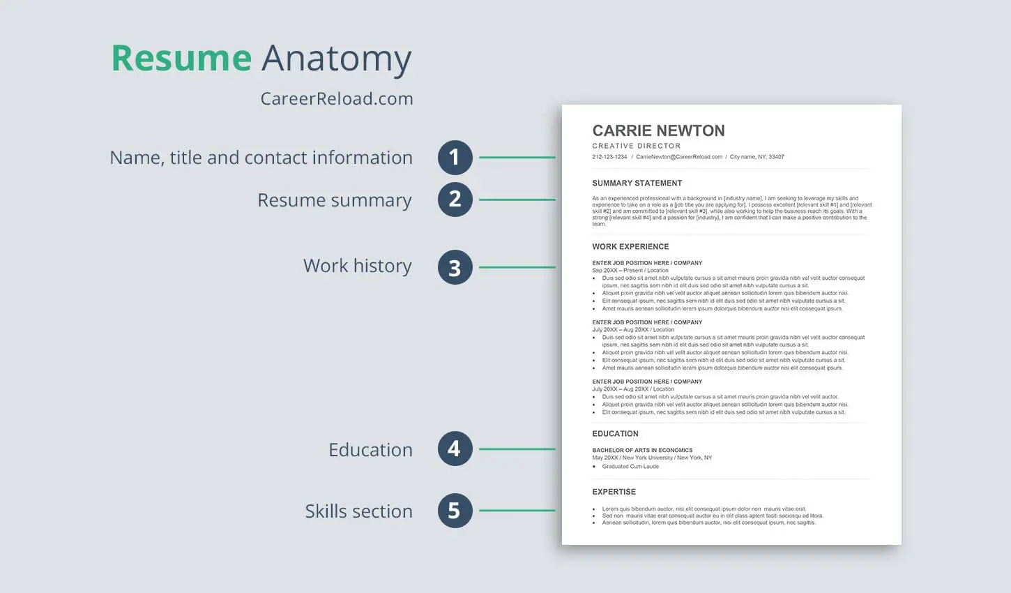 Resume anatomy