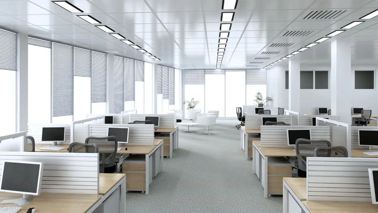 Employer Identification Numbers