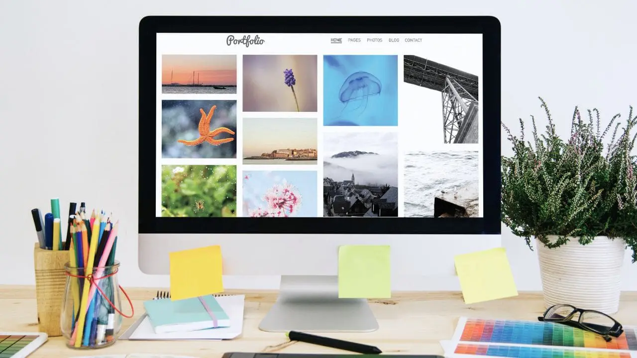 3D Designer Portfolio