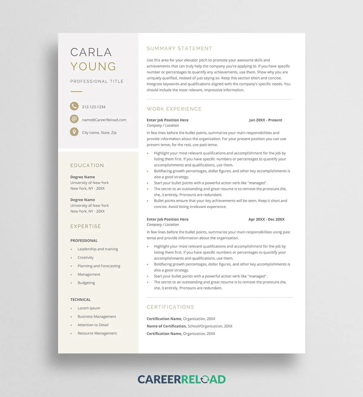 Template for resume