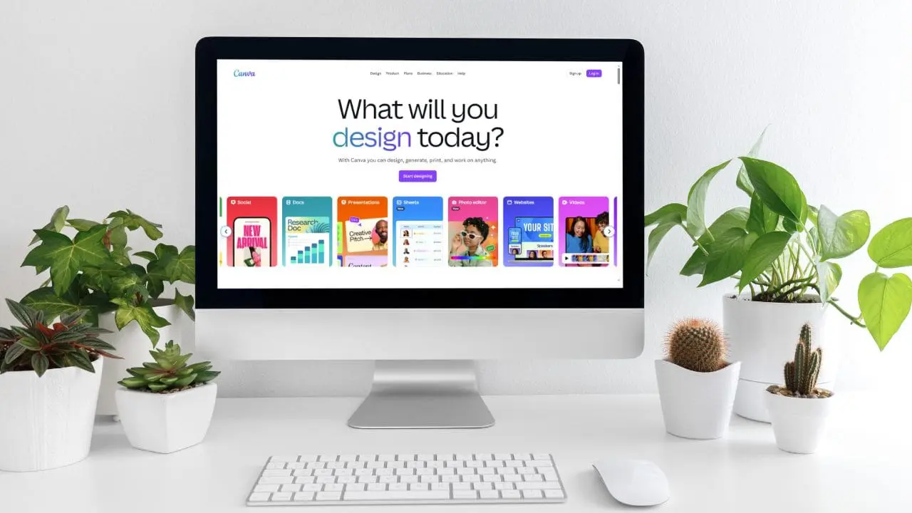 Canva resume builder review