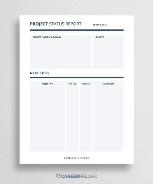 Project status report