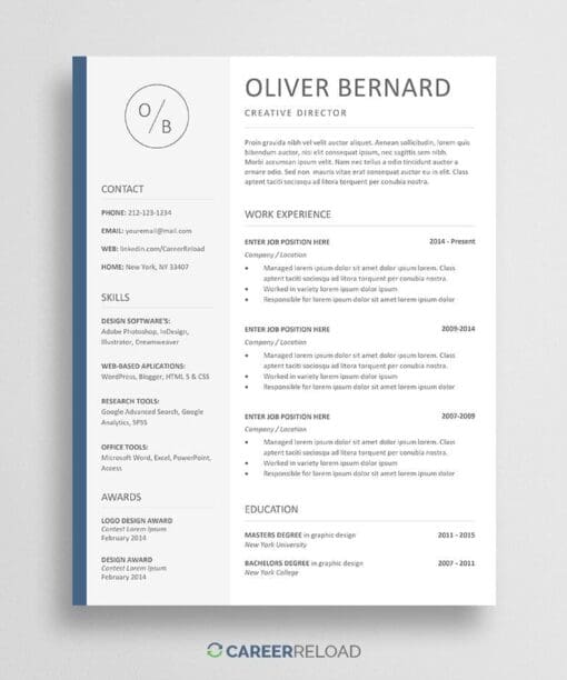 Professional PPT resume