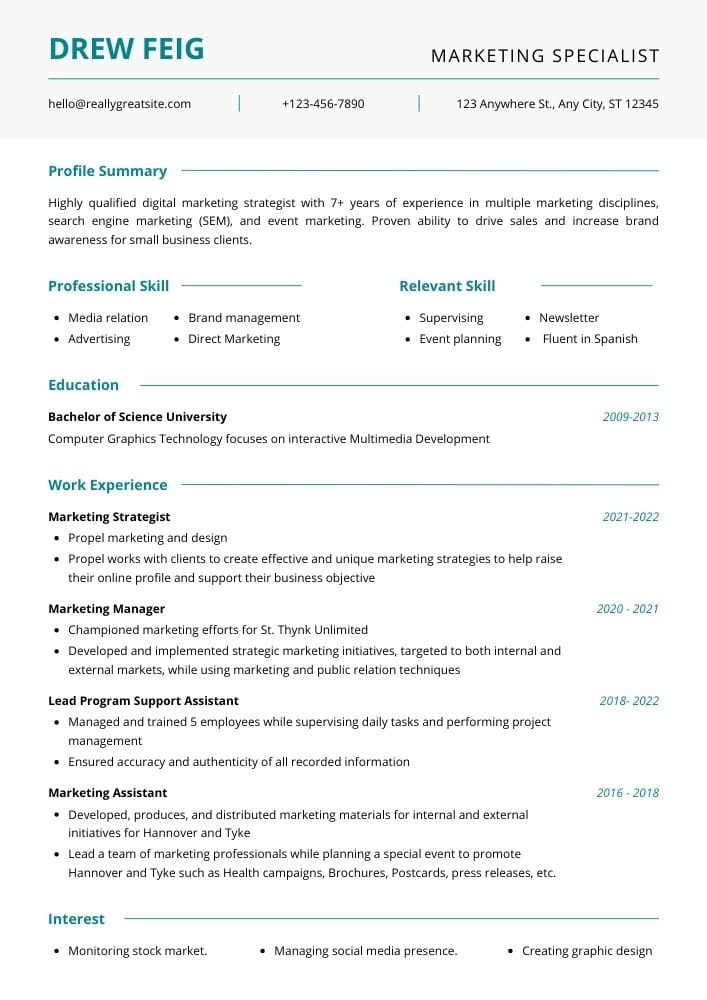 Professional resume design for Canva