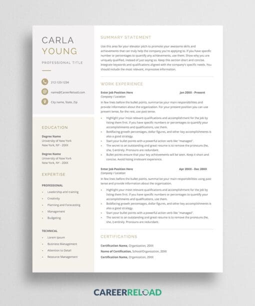 Template for resume