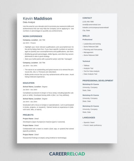 Two-Column LaTeX Resume Template