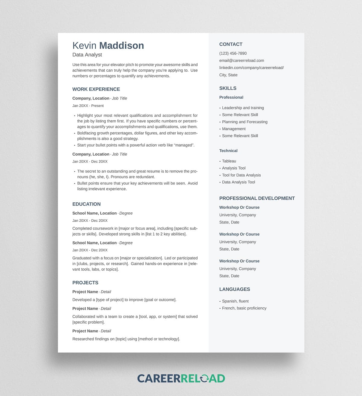 Two-Column LaTeX Resume Template