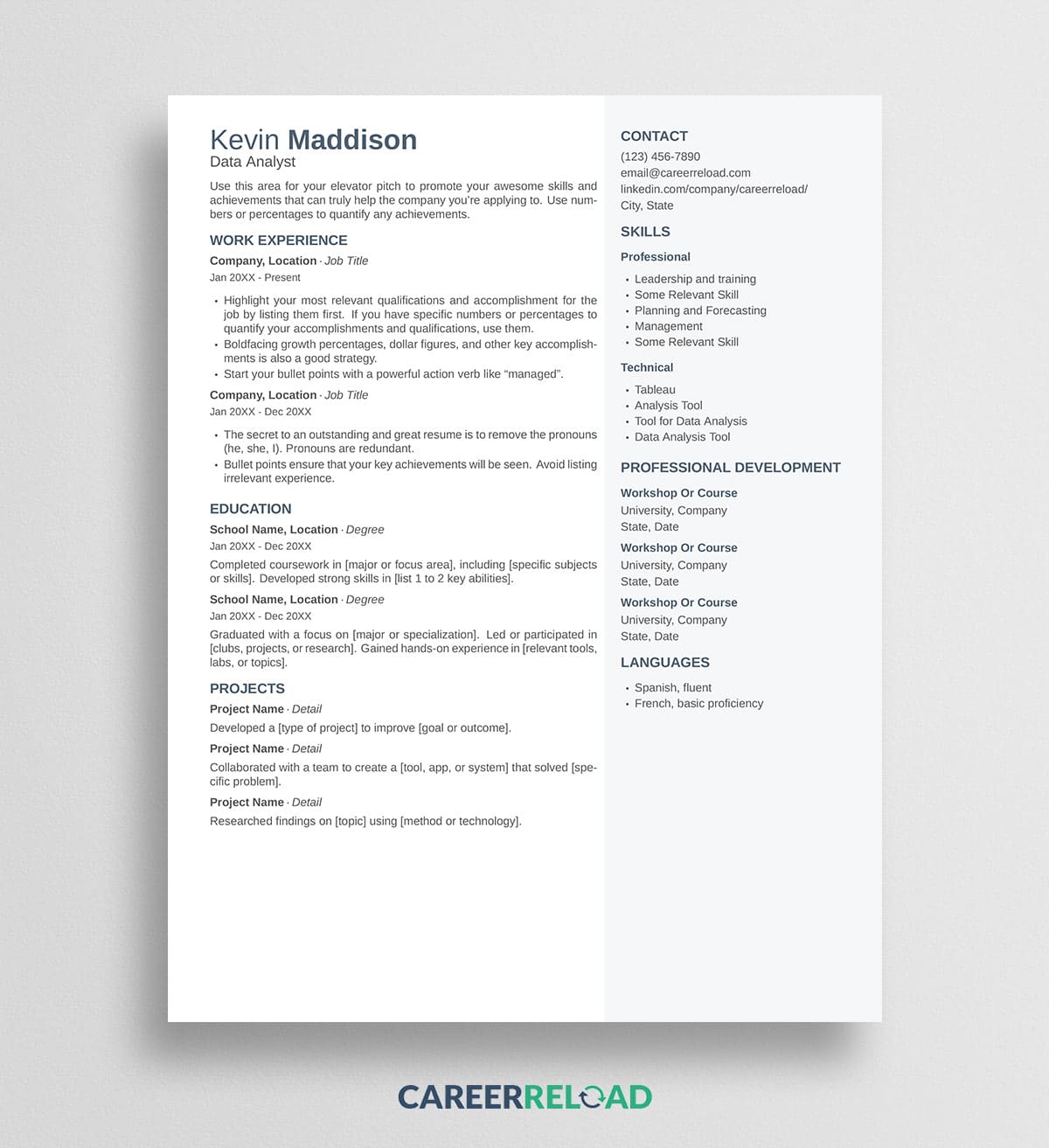 Two-Column LaTeX Resume Template